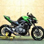 Kawasaki Z900 2018