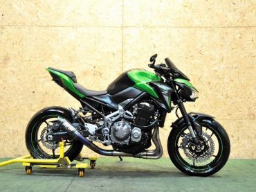 Kawasaki Z900 2018